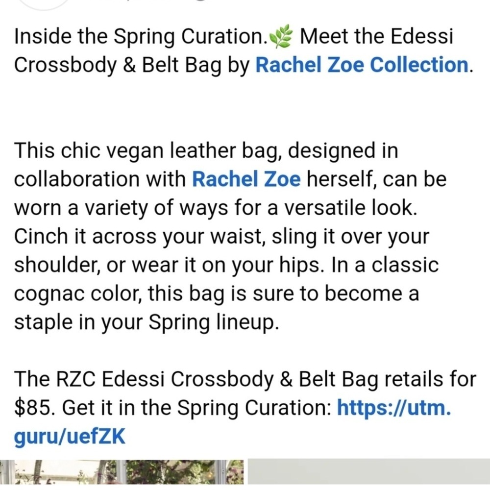 -NWT Rachel Zoe Edessi Crossbody And Belt
Bag Brown NEW - Picture 16 of 16